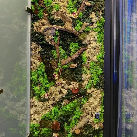 Apartmán Anita Budapešť