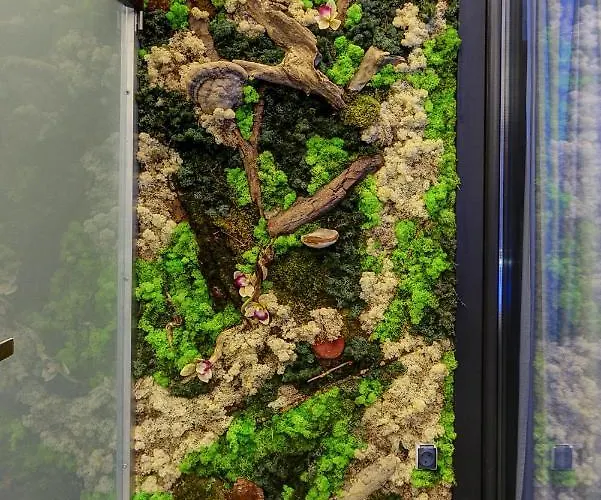 Apartment Anita Budapest